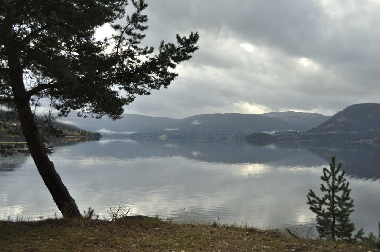 Fyresdal Gjestehus Moland Exteriör bild